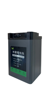 60V48AH两轮车用磷酸铁锂电池